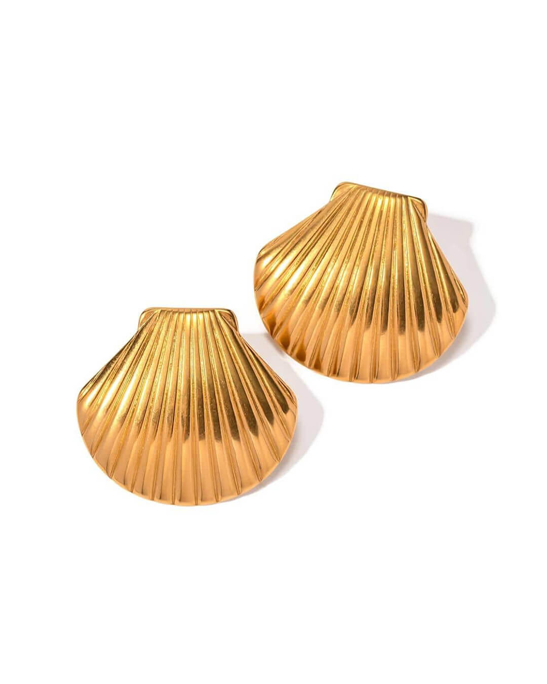 Shell Stud Earrings