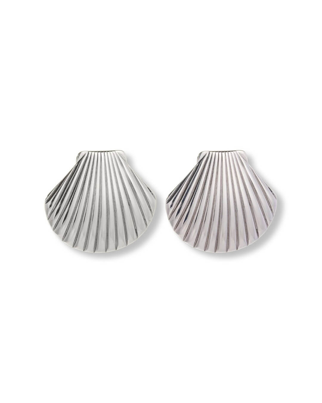 Shell Stud Earrings