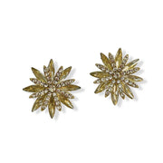 Diamante stud earrings in a champagne fireworks design